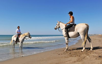 Randonne cheval Corse