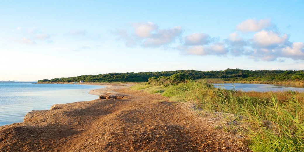 Plage Piantarella